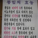 삿갓봉뽕잎해물칼국수