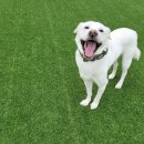 불리빌로우코리아센터 이미지