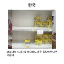 그마그로 | [제주여행] 전복죽, 전복해물라면, 전복물회 먹은 아침밥 후기 / 애월은혜전복 제주애월본점