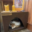 카페 제이제이 이미지