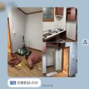 인트 | 홈스타일링 인테리어 후기 노후 인트로우 오피스텔 공정 기록2