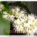 석이네집 이미지