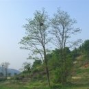 해운대송정우림필유 네이버블로그