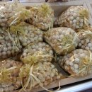 편백하우스 이미지