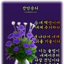 샬롬