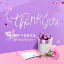 에스라인 네이버블로그