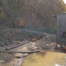 장군농장 이미지