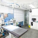 굿파파 24시 반려동물건강검진센터 이미지