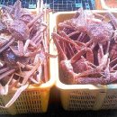 거성수산 이미지