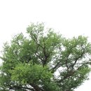 지동산촌마을 | 산촌지동마을 체험속으로 빠져빠져~~