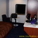 카멜리아 이미지