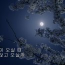 님 마중 - 창원시립합창단 (이명숙 시,한성훈 곡) 이미지