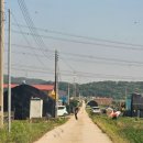 명우농장 네이버블로그