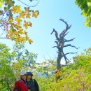삼거리건강원 - 군산시 옥구저수지로 216 | 삼거리건강원