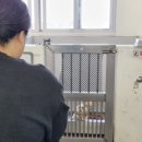 결혼준비 블로그라고 쓰며 한량일기라 읽는다..