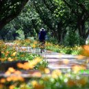 서시천자전거길1 이미지