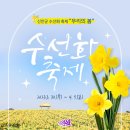 3/31~4/1/오션뷰 엘도라도리조트 선도수선화 임자도 튜율립[31인승리무진] 이미지