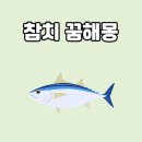 귀인참치 이미지