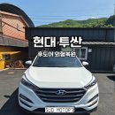 1급 수오자동차공업사 | 경기광주 투싼 운전석 뒷문 찍힘 및 녹 제거 판금도색 수리 <수오공업사>