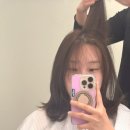 가이컷트라인 네이버블로그