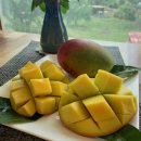 산남농장 이미지