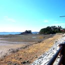 서산버드랜드 이미지