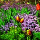 서산중앙병원 이미지