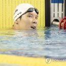 박태환 카카오 검색결과