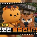 상수축산 이미지