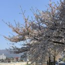 헤이,춘천(Heyy,chuncheon) 이미지