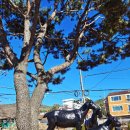 보람마트 삼거리 이미지