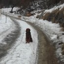 운교산방 이미지