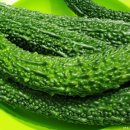 여주-0719 네이버블로그