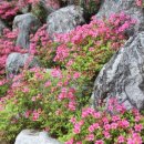 삼우유지(주)