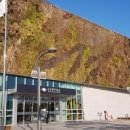 을숙도자전거문화체험협동조합 이미지