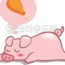 돼지 이미지