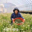 한국건강원 이미지