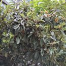 부암3치안센터 이미지