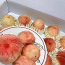 남상주농업협동조합 | 공영홈쇼핑 명실상주 복숭아 백도아삭이 가격 맛 내돈내산