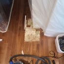 나산빌딩 이미지