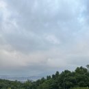 지브로참치 이미지
