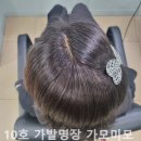 가모미모 이미지