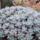 (주)그리니 이미지