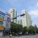 늘푸른6길 이미지