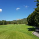 평창 휘닉스파크 이미지