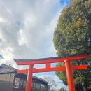 그날 오후 | 교토 버스투어 후기 — 오후 3시 여우신사, 체력이 바닥났던 그날