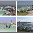 테크노밸리공인중개사사무소 이미지