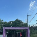 더파인(The Fine) 네이버블로그