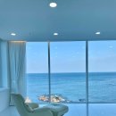 비다펠리즈 이미지