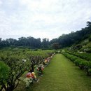 운용목장 | 용인과 안성 수목장 운영 차이, 어떤 곳이 더 안정적일까